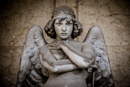 L'angelo del focolare | EMMA DANTE