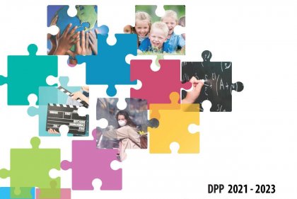 Il DPP della Fondazione
