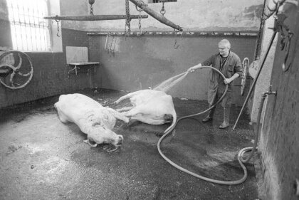 Le fotografie di Prospero Cravedi tornano in mostra