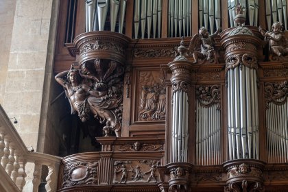 Antichi Organi<br /><small>Un patrimonio da salvare</small>