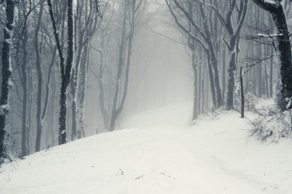 Avevo due paure (Italia, 2026, 52’)