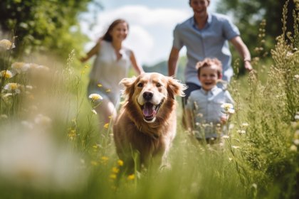 Il cane in famiglia