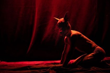 Incipit Company in «Io Bestia»