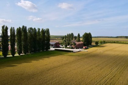 La cultura del Riso in Lomellina
