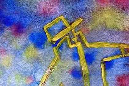 Il volto dell'autista
